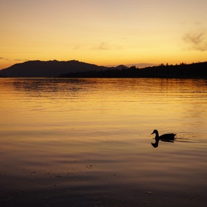 Golden Sunset, Big Bear Lake, CA. Landscape and Sunset Photography, Golden Hour Digital Download.
