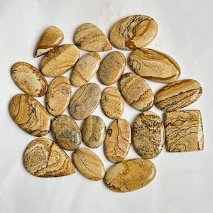 Natural Picture Jasper Cabochon Wholesale lot By weight with Different Shapes And Sizes Used for jewelry Making