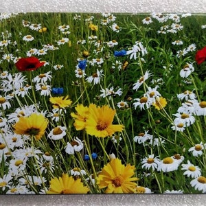 Wildflower Aluminum Trailer Hitch Cover. UV 4x6
