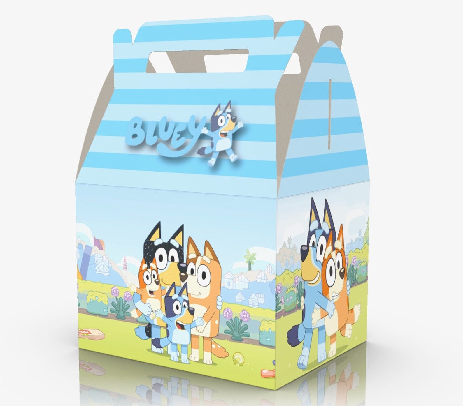 Printed Favor Boxes