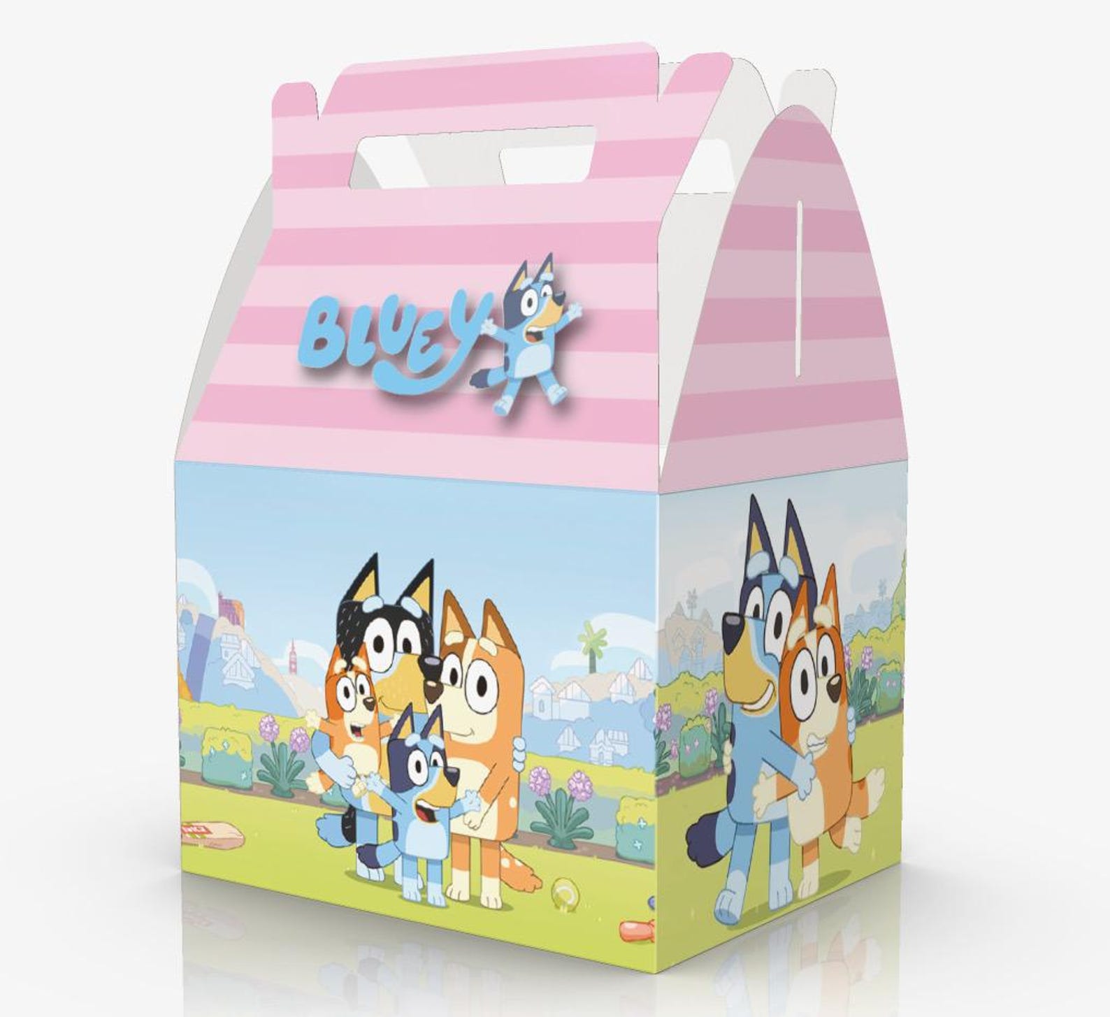 Printed Favor Boxes