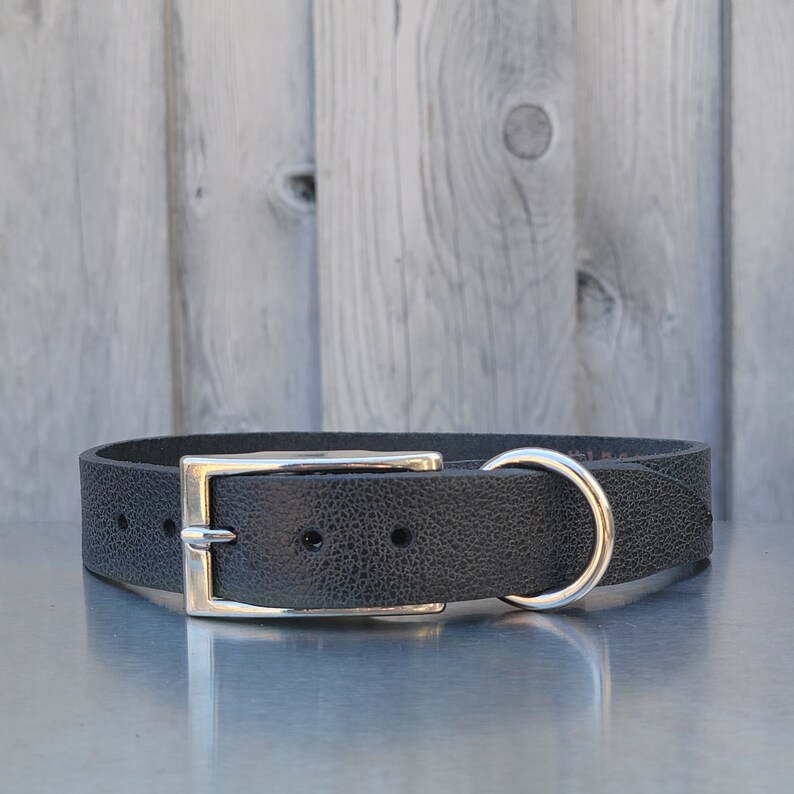 Dog Collars Full Grain Leather Dog Collar Made in Canada Etsy Canada