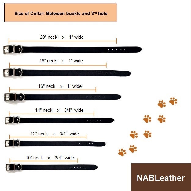 Dog Collars Full Grain Leather Dog Collar Made in Canada Etsy Canada