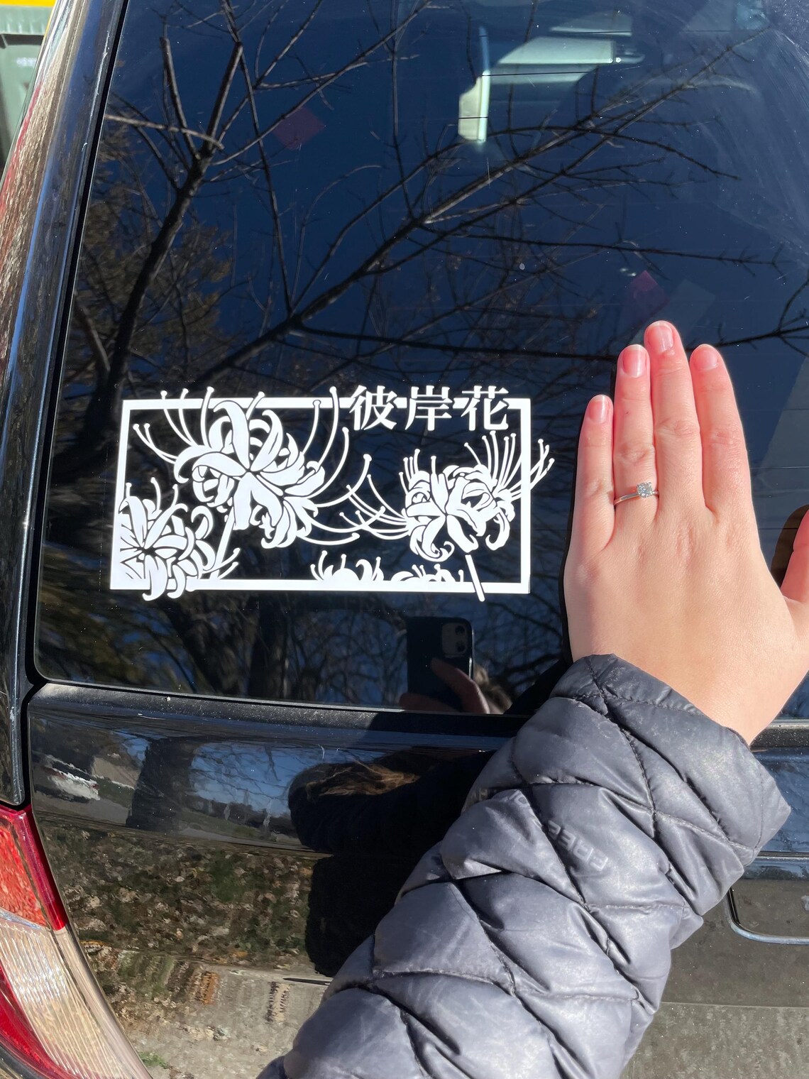 Pathos Car Sticker Pothos Decal // Car Sticker // Weatherproof Vinyl Decal - Etsy
