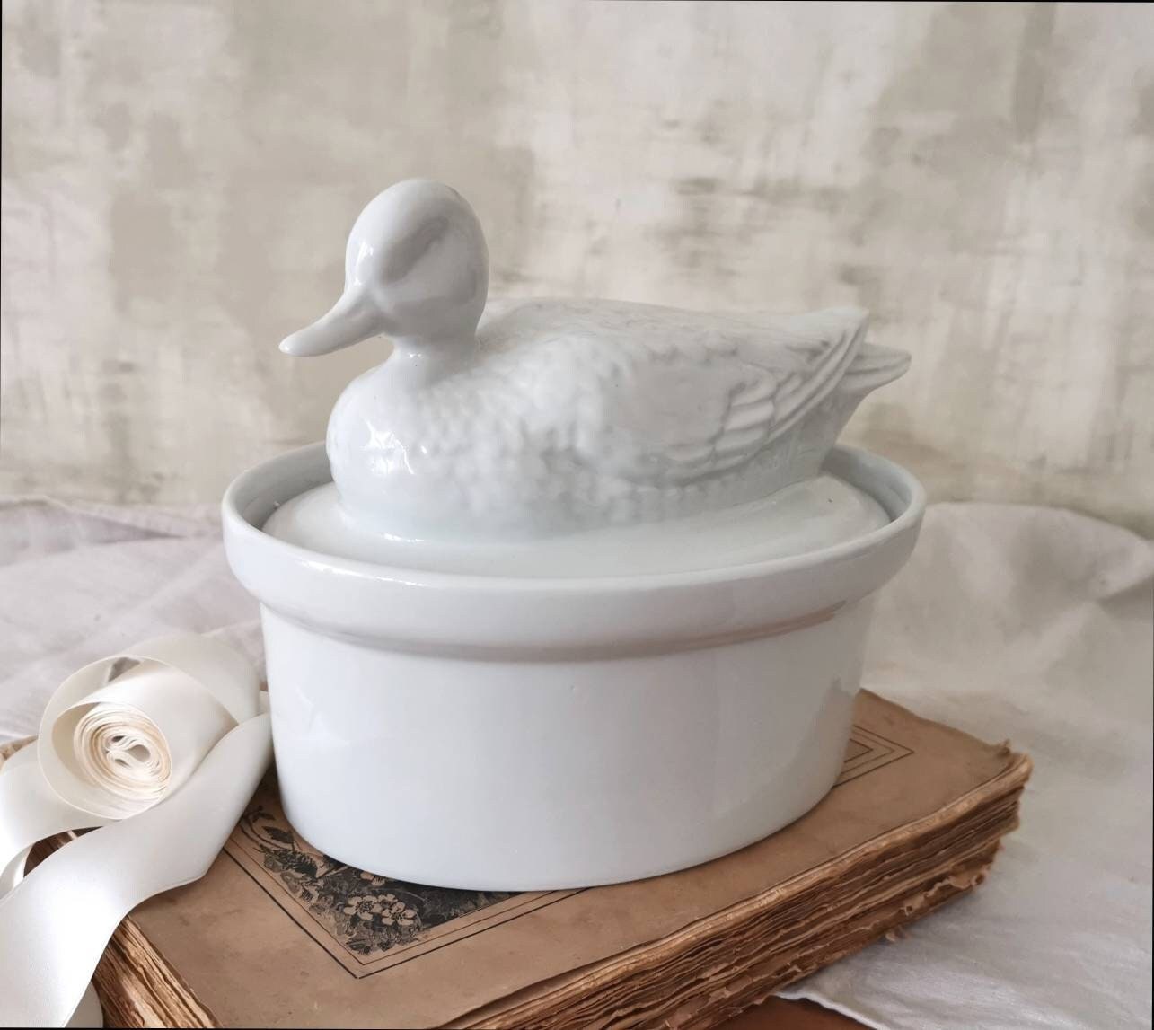 Terrine Vintage Français en Forme de Canard Apilco Pillivuyt/Ovenproof Majolica Tureen All White Bar