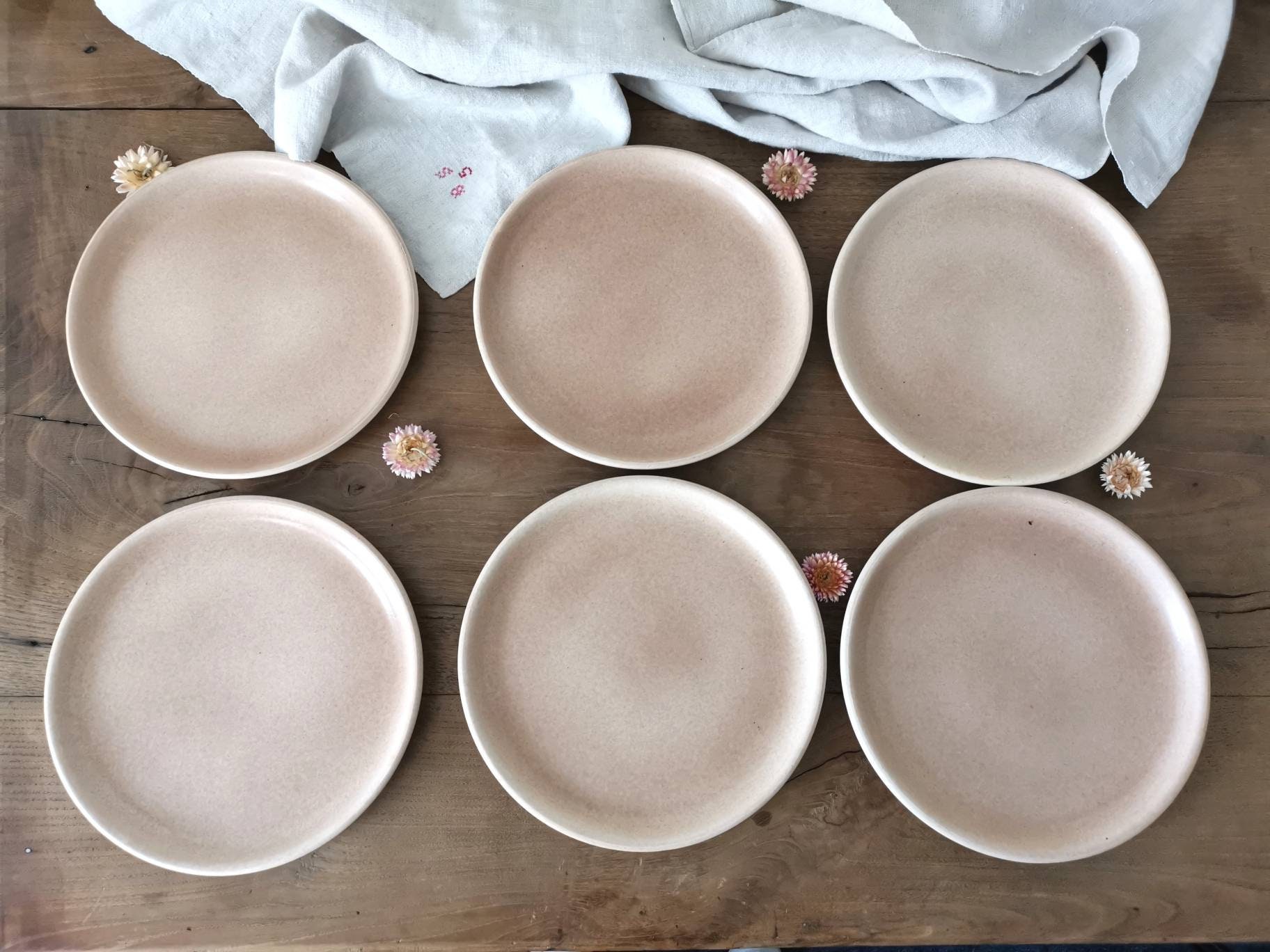 Assiettes Vintage 6 Français/Grès