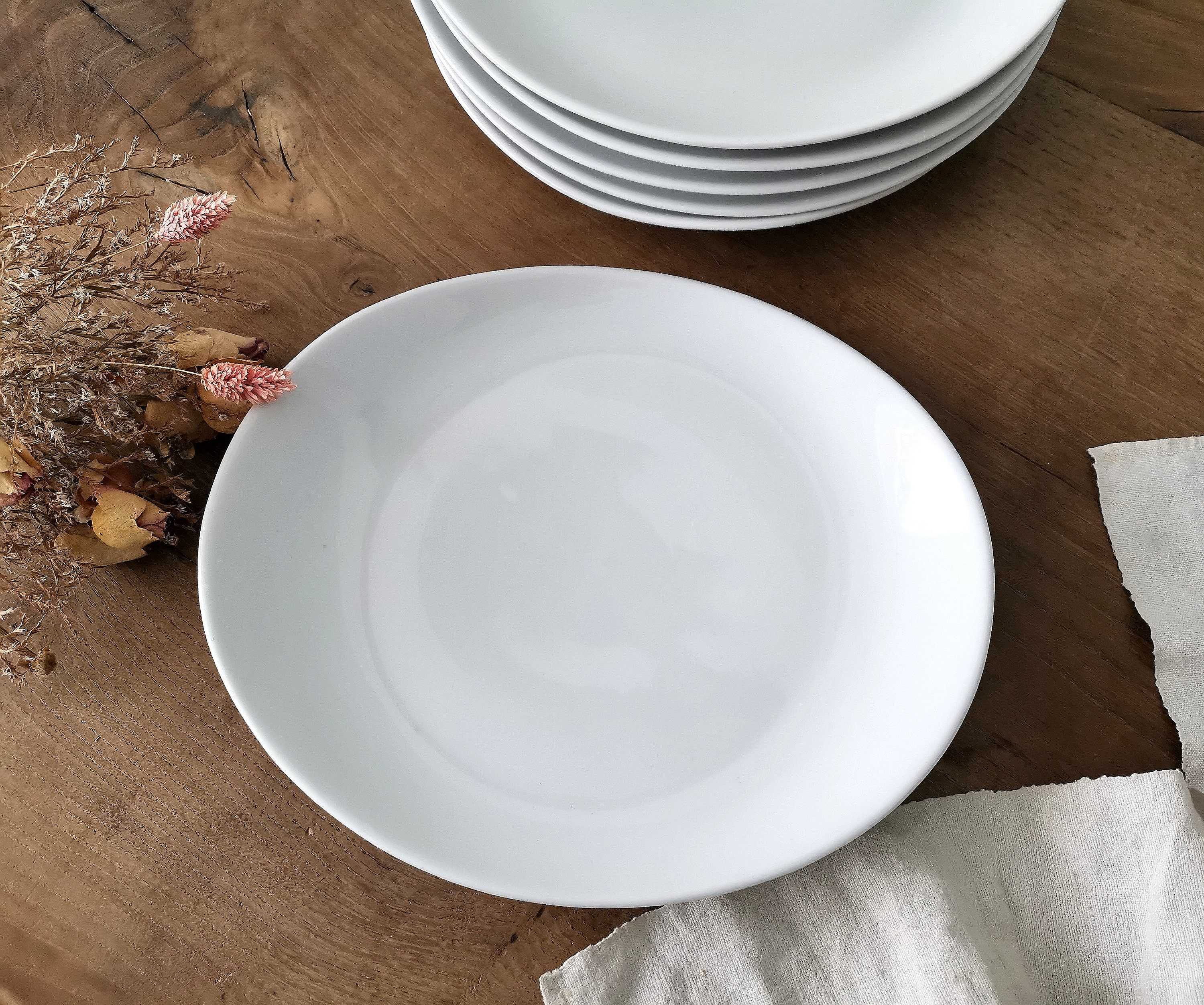 Set of LARGE White Porcelain Flat Dinner Plates, Stamped APILCO