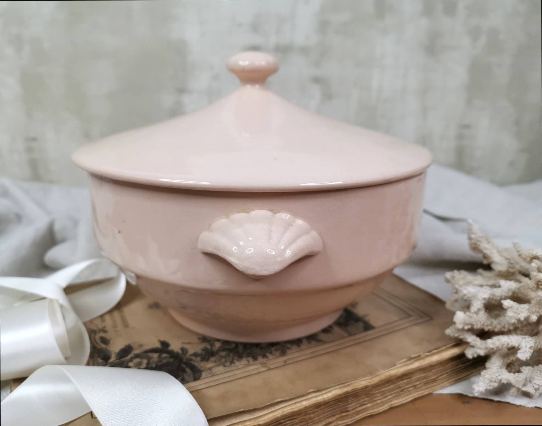 Rose Art Déco Tureen W Couvercle Estampillé Digoin Sarreguemines/Antique Français Blush Rose Ironsto