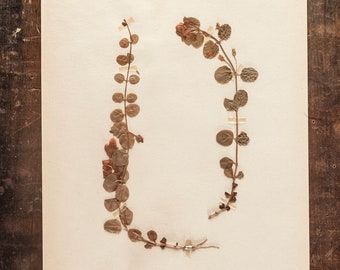 1 von 10 antiken schwedischen HERBARIUM Seiten, Vintage Echte Gepresste Pflanzen, Botanisches Exemplar, Retro Skandinavische Wandkunst