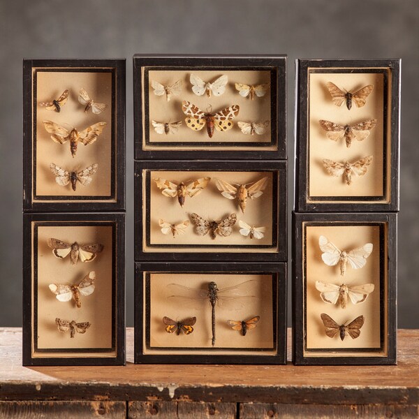 Retro Shadow Box Etsy