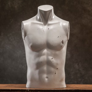VINTAGE Torso male MANNEQUIN, White Dummy Torso, Vintage human body decor