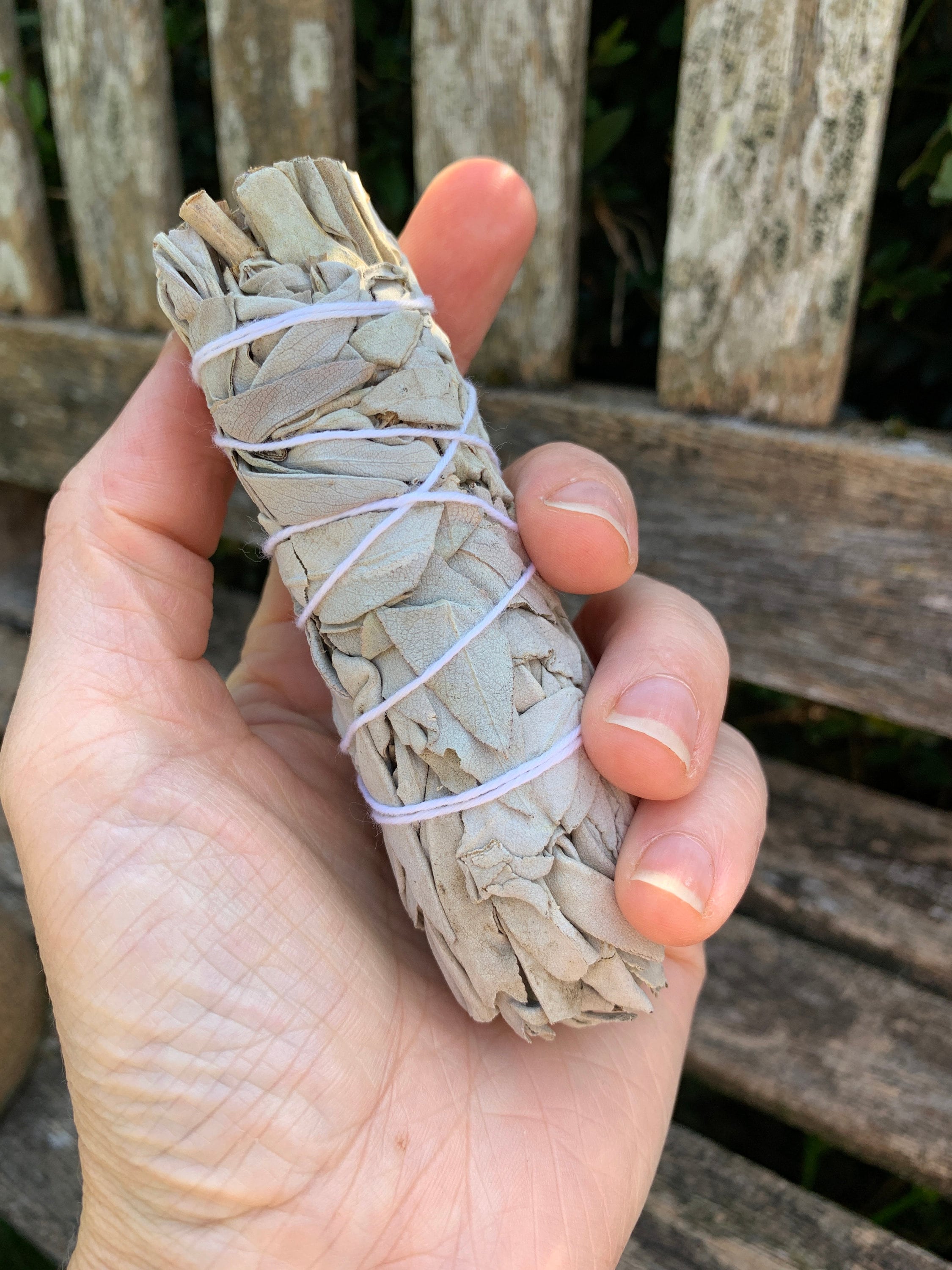 Premium Quality Medium Sage Smudge Sticks Californian White Etsy