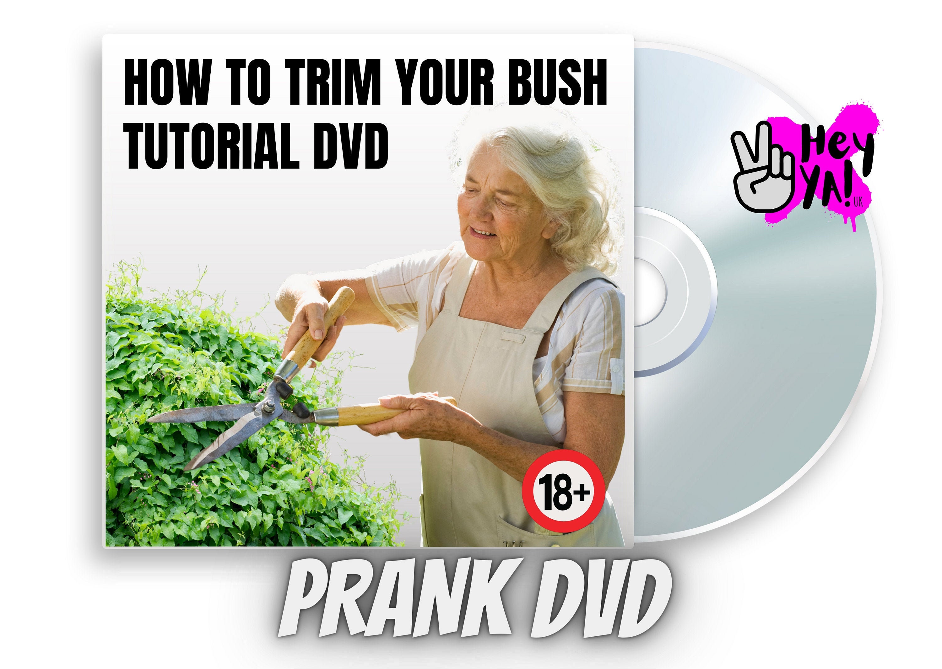 PRANK DVD How to Trim Your Bush Funny Banter Gift Birthday Etsy UK
