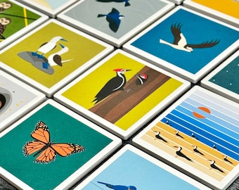 Wildlife Coaster Set: Absorbent Ceramic Bird Designs, USA Made