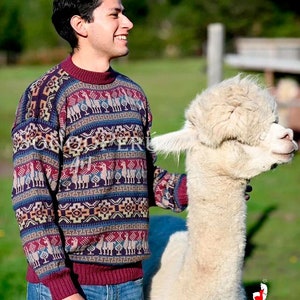 Alpaca sweater, Peruvian sweater, men&#39;s sweater