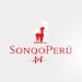 SonqoPeruArt