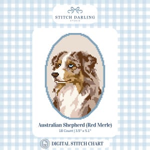 May include: A digital cross stitch pattern featuring a pixelated portrait of a red merle Australian Shepherd dog inside a light blue oval frame. The text reads Stitch Darling Studio, Australian Shepherd (Red Merle), 18 Count | 3.5" x 5.1", and Digital Stitch Chart.