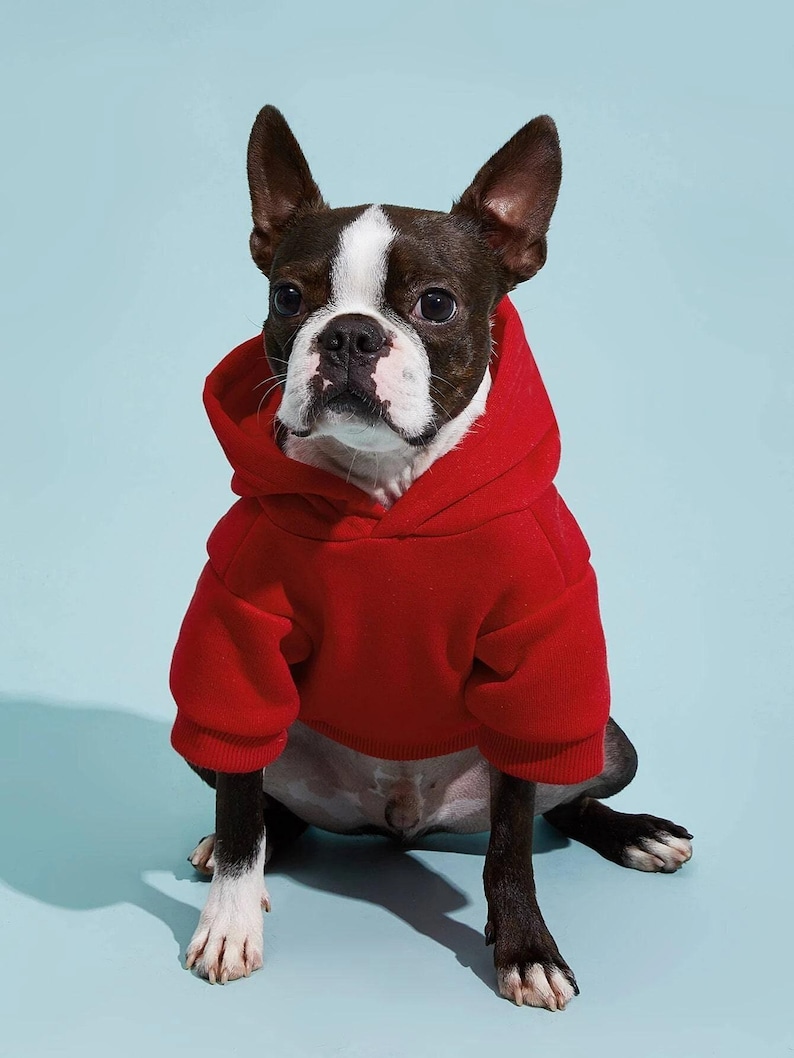 Dog Pattern, XXS-5XL, Dog Hoodie Sewing Pattern, PDF Sewing Pattern Pet, Pattern Dog, Instant Download, Pet Pattern, Sewing pattern for dog image 2