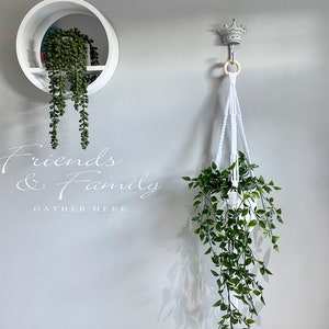 May include: White wall with a white shelf with a green plant hanging from it. The shelf is in the shape of a half circle. There is a white macrame plant hanger with a green plant hanging from it. The plant hanger is attached to a silver crown-shaped hook. The text "Friends & Family Gather Here" is written on the wall in white.