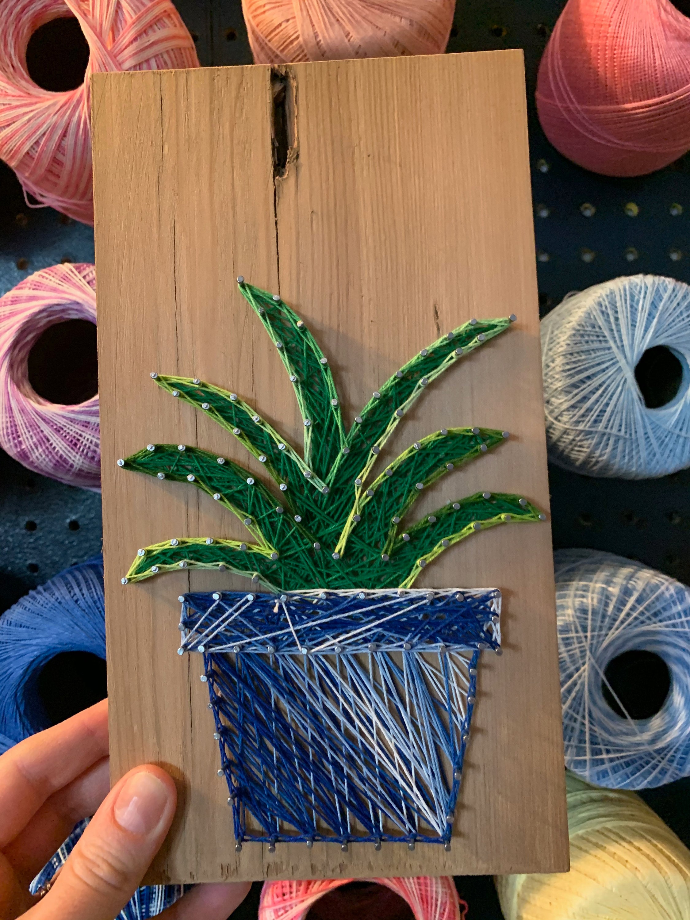 DIY Potted Plant String Art Kit String Art Plant DIY Aloe Etsy