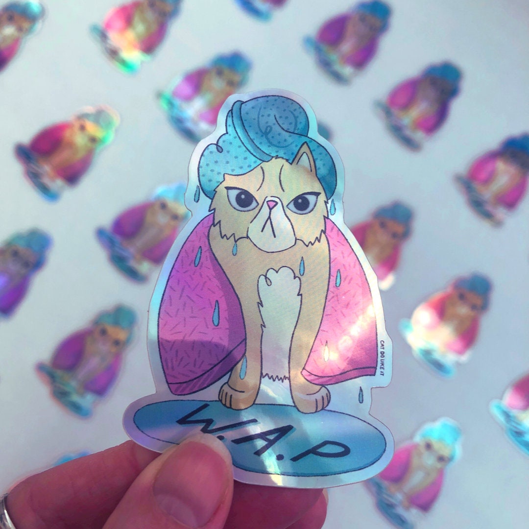 WAP Holographic Kitty Sticker / Lindo Gato Pegatina / Pegatina Etsy