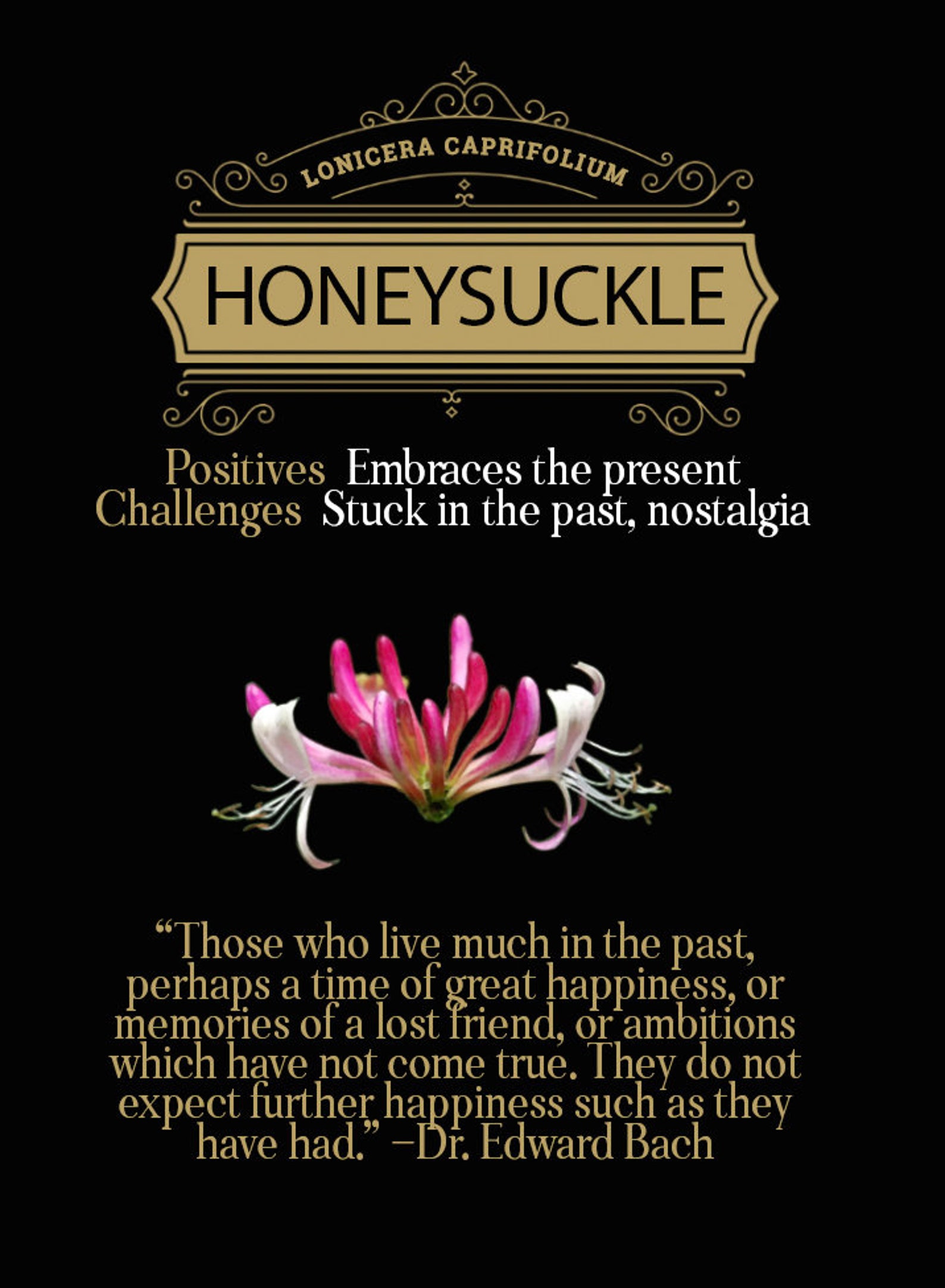 Bach Flower Remedies Poster - Etsy UK