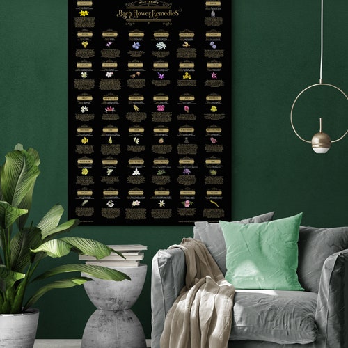 Bach Flower Remedies Poster - A1 Large Wall Chart Of All 38 Essences, Botanical Art