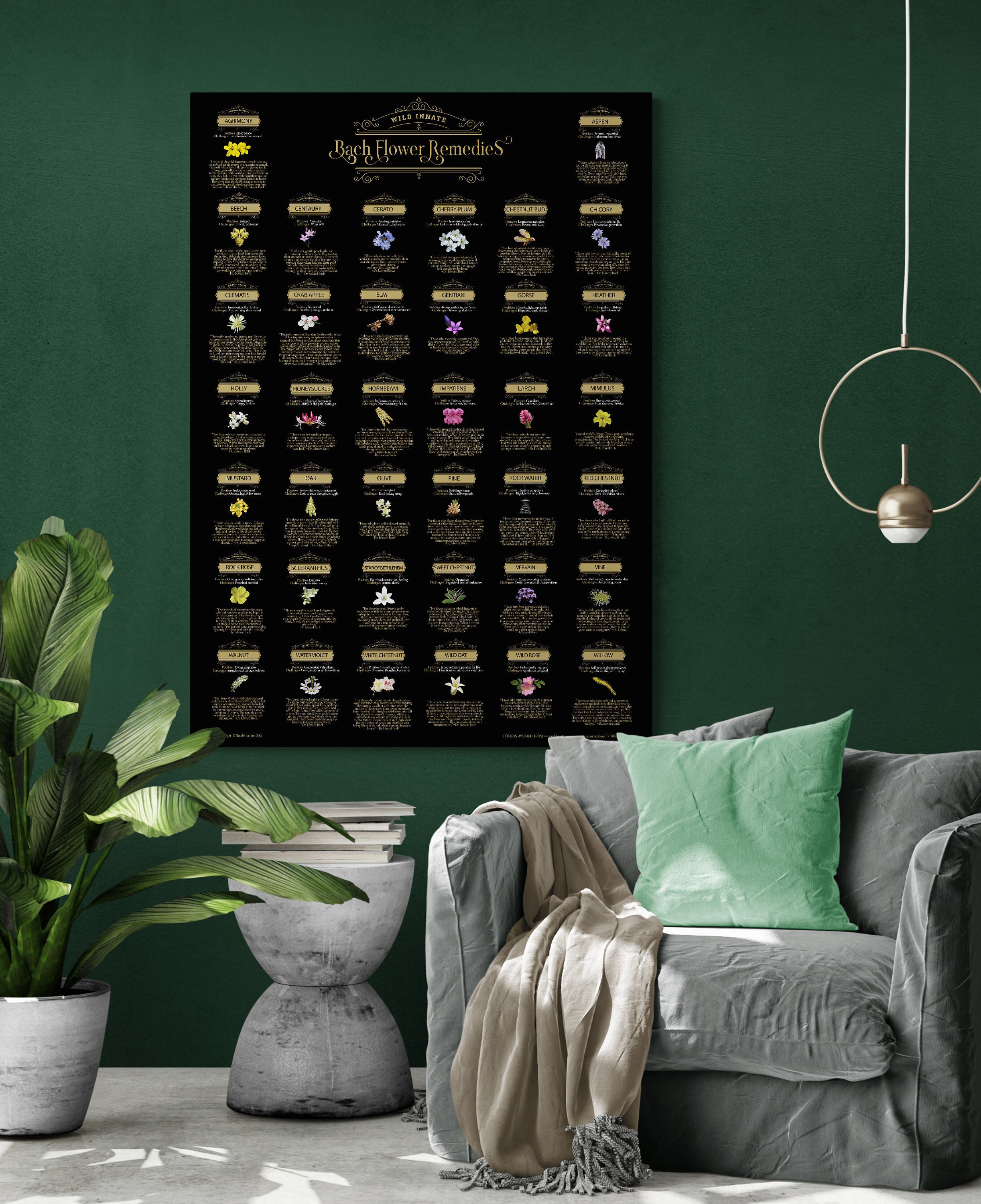 Bach Flower Remedies Poster Etsy