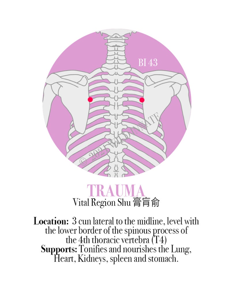 Emotions Acupressure Points Poster Etsy