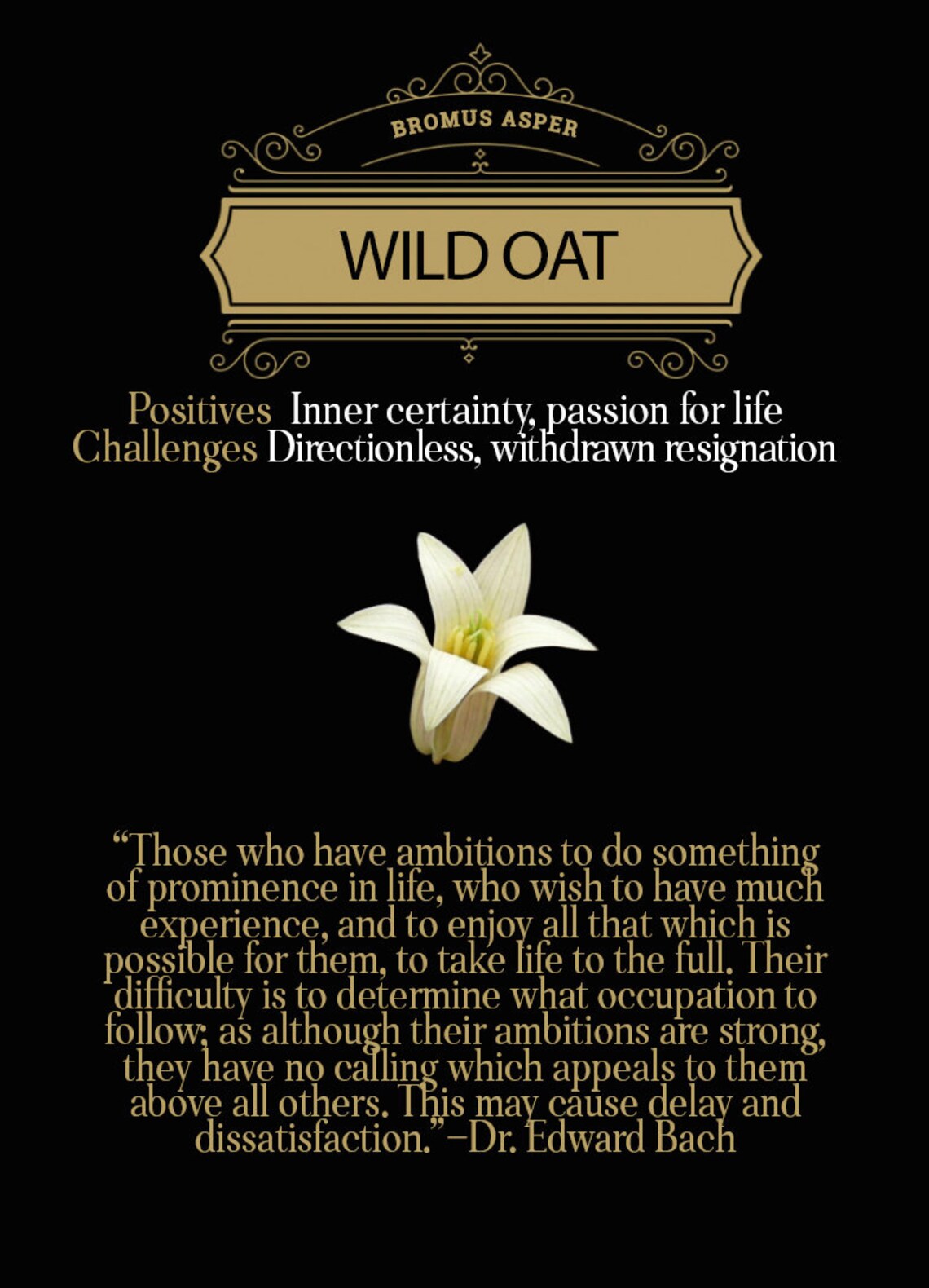 Bach Flower Remedies Poster Etsy