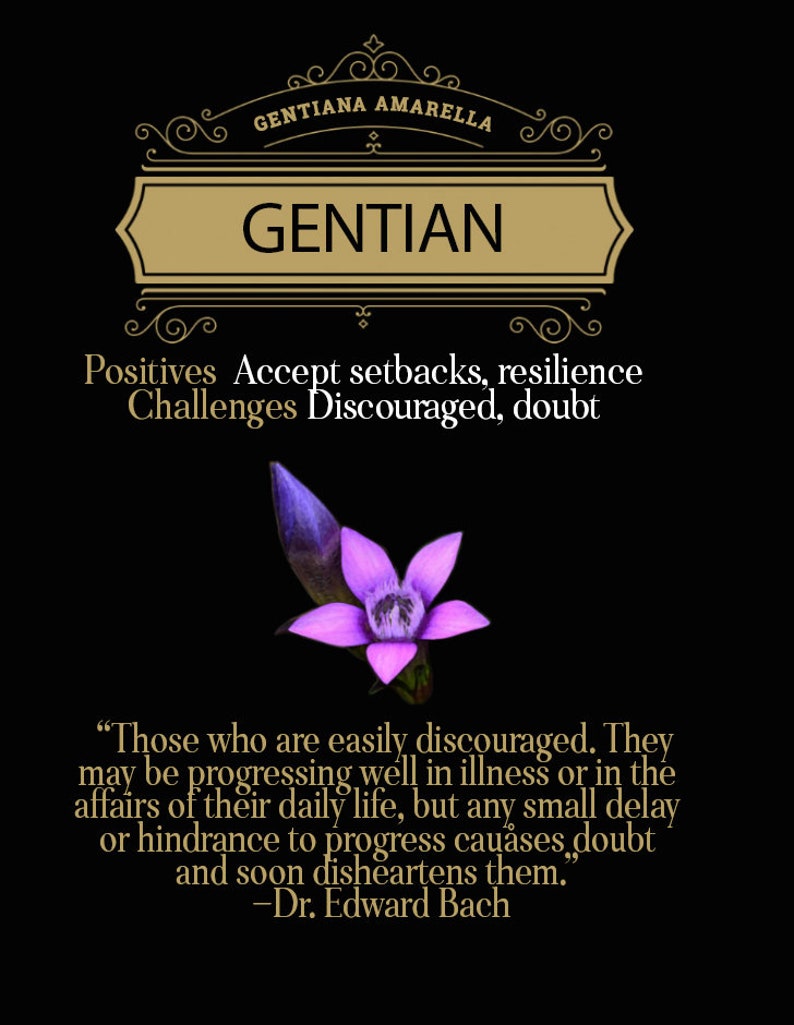 Bach Flower Remedies Poster Etsy