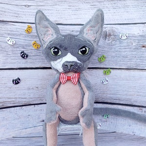 Cat Sphynx Plush, Hairless cat, Kawaii Sphynx, Cat Sphynx doll, Cat lover gift, Pet sympathy gift image 1