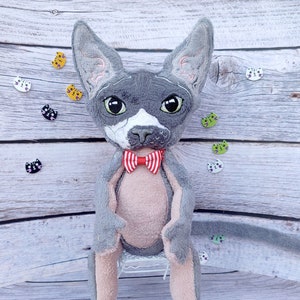 Chat Sphynx Peluche, Chat sans poils, Kawaii Sphynx, Poupée Chat Sphynx, Cadeau amoureux des chats, Cadeau de sympathie pour animaux de compagnie image 1