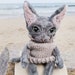 see more listings in the Poupée Chat Sphynx section