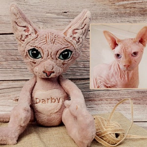 Poupée d'animal de compagnie d'après une photo, chat Sphynx, animal de compagnie dans un pull, commande de peluche personnalisée, cadeaux pour les amoureux des chats, chat en peluche Kawaii