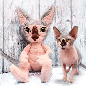 Può includere: Un peluche rosa e grigio a forma di gatto Sphynx con grandi orecchie e un naso marrone, accanto a un vero gatto Sphynx. Il peluche ha la parola "Rubber" sul petto. Il vero gatto ha la pelle grigia e rosa.
