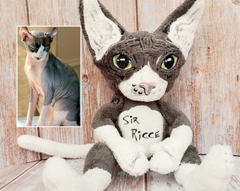 Cat sphynx plush, Hairless cat, Custom cat portrait, Calico cat, Sphynx lover gift, Pet Replica, Custom plush commission