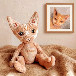 May include: A peach-coloured cat doll with large ears and detailed facial features. The doll has a heart-shaped patch on its chest with the name "J. Edgar". A framed portrait of a similar cat hangs in the background.