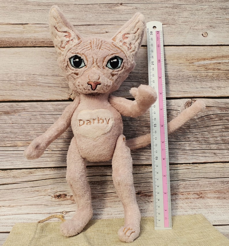 Custom Stuffed Animal of Your Pet Sphynx Cat Teddy Cat in a Etsy