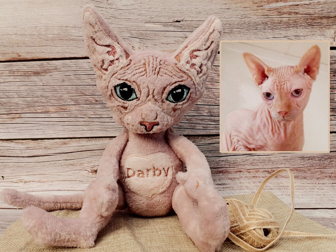 Custom Stuffed Animal of Your Pet Sphynx Cat Teddy Cat in a Etsy