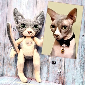 Realistic Sphynx Plush, Pet Replica, Memorable gift for the Сat lover