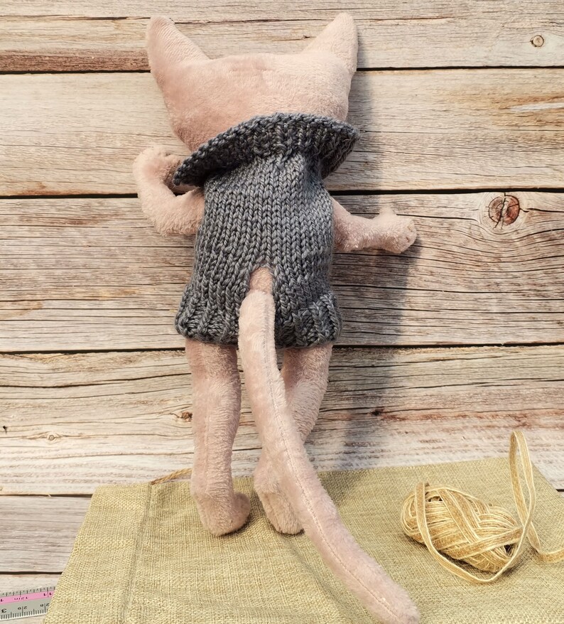 Custom Stuffed Animal of Your Pet Sphynx Cat Teddy Cat in a Etsy