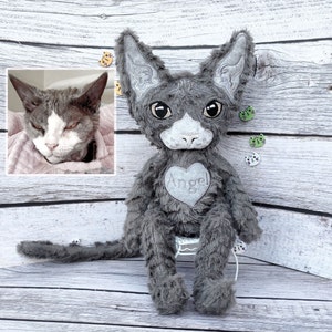 Devon rex Cat, Cornish rex cat, Sphynx cat, Custom Cat Plush, Adopt a pet, Custom plush from drawing, Cat lover gift idea, Pet sympathy gift image 2