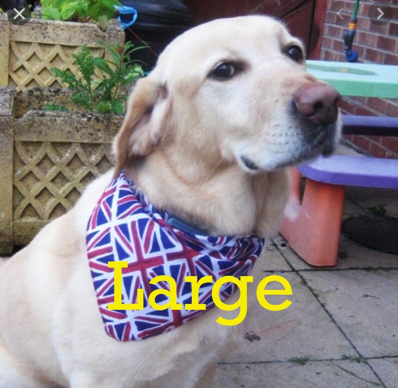 YELLOW Homemade dog bandanas yellow Three sizes Etsy