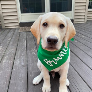 Personalized Pet Bandana
