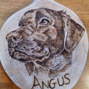 Custom pet portrait pyrography
