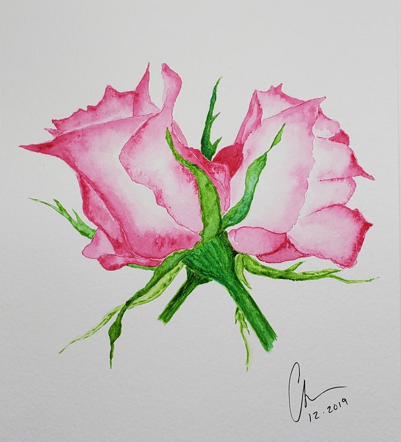 Rose Buds WATERCOLOR Giclée Print Painting by Chet Johnson Etsy