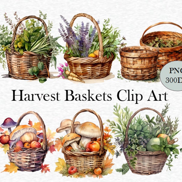 Watercolor Harvest Baskets Clip Art - Set of multiple PNG Files, 300 DPI, instant download, free commercial use