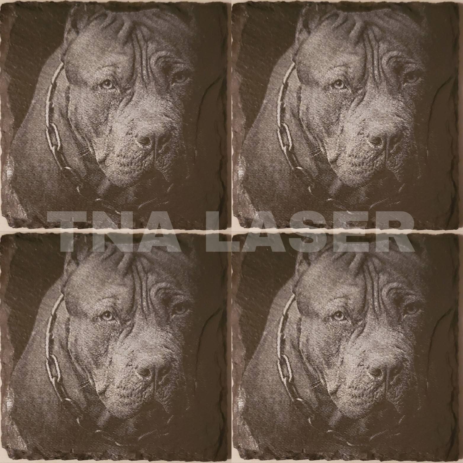 Glowforge Digital Laser Ready Design File - Pitbull Painted Coaster - Slate Engrave File - PNG - Dog - Puppies - Breed - Animal - K9 - Pet -