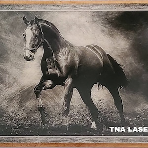 Glowforge Digital Laser Ready Design File - Painted Acrylic Horse - Acrylic Engrave File - SVG - PNG - PDF - Animal - Farm -